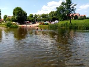 Zacisze pod lasem