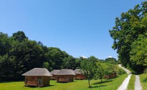 Glamping Bionic healing village