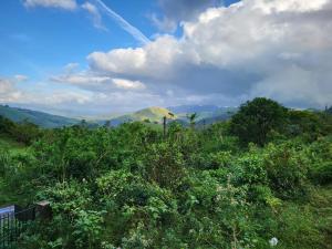 Vagamon Clouds Holiday Apartment