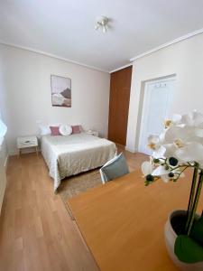 Cozy Apartment in Santander Center