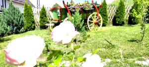 Bucovina Sky View