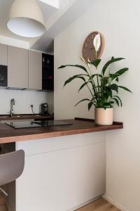 Youhosty - Aquileia 10 Bilocale M4