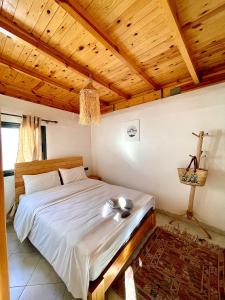 Arinas Surf Hostel