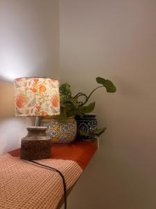 Cozy penthouse 2bhk terrace in Banjara Hills