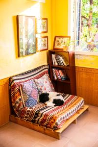 Di Mo homestay Citadel Conner