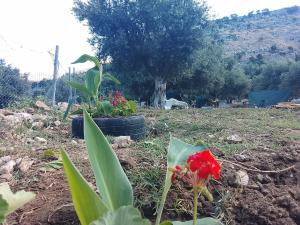 Camping Shpella e Pirateve