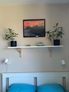 Studio Seaven, Lozenets