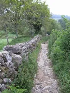 Villa Berk en Heide - Rosmalen