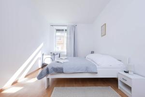 The Grand Central Apartment - Medena