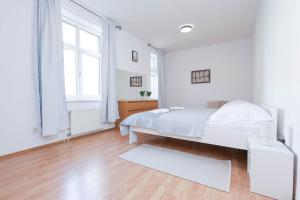 The Grand Central Apartment - Medena