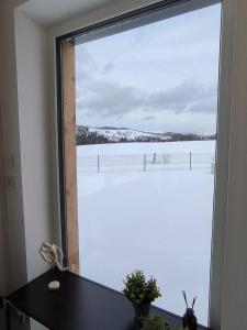 Horské apartmány Stříbrnice