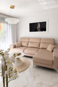 Don Carlos Royal Beach Residence - La Mata
