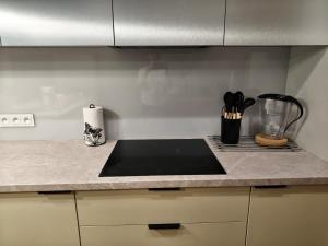 Apartament Skowrońskiego self check-in 24h, free parking