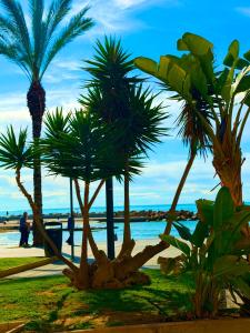 Apartament przy plaży Los Locos LA PERLA DEL MAR