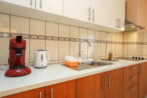 Apartment Dragica