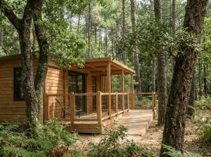 La forêt PALOMA, Ecolodge
