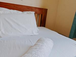 Hostel Room