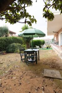 Vivilo Collection - Lauras Loft Garden