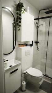 Modern Studio Batorego 18