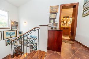 Adriatic Bloom Villa
