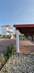 Olive Tree Villa