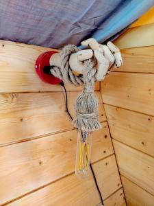 Glamping Casacocco