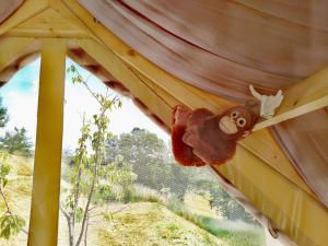 Glamping Casacocco