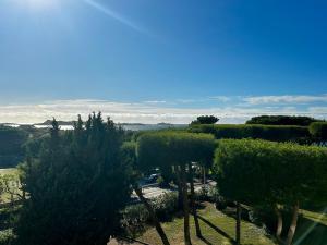 Studio cosy , vue mer , parking privé