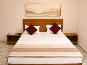 Hotel Baldev Palace