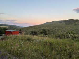Panorama Tinyhouse