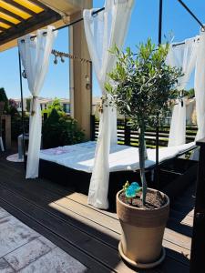 Arapya Beach Apartment