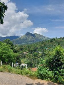 VIHA The Heaven - 2BH Apartment