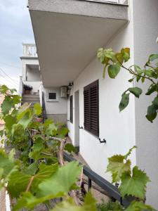 Apartman Velina