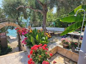 Apartments Lucija