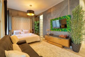 Cozy Studion near Herastrau Park