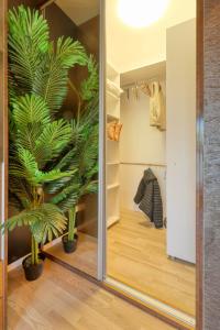 Cozy Studion near Herastrau Park