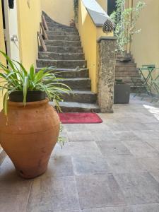 La Suite da Esther
