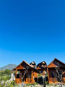 Glamp Watobi Kintamani - Bali
