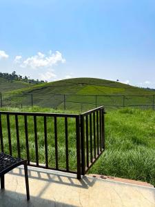Apna Ghar - A Homestay Beyond Brick Walls