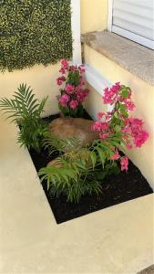 Casa cidade e piscina