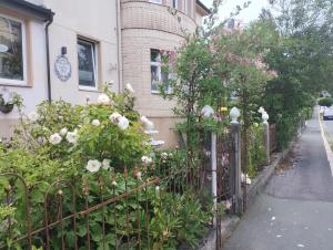 Ferienwohnung in der Kunst und Kultur Villa Bad Steben