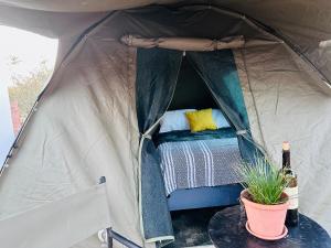 Karoo Lifestyle
