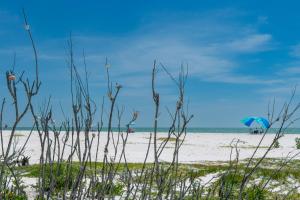 Dune Your Thing A by Sun Palace Vacations