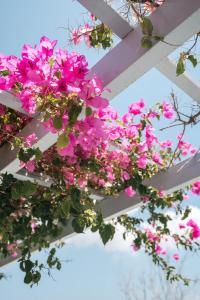 Thera Bliss Hideaway Private Jacuzzi by MΡS
