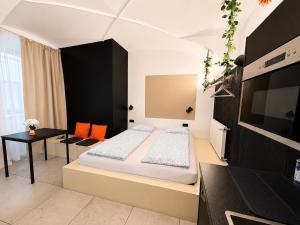 Bratislava Center Apartment 1