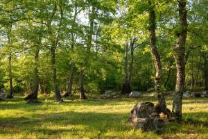 Bikers camp