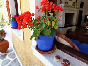 Vagia Traditional Hotel Aegina Greece