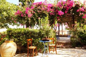 Vagia Traditional Hotel Aegina Greece