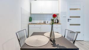 Wisla Apartment