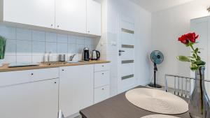 Wisla Apartment